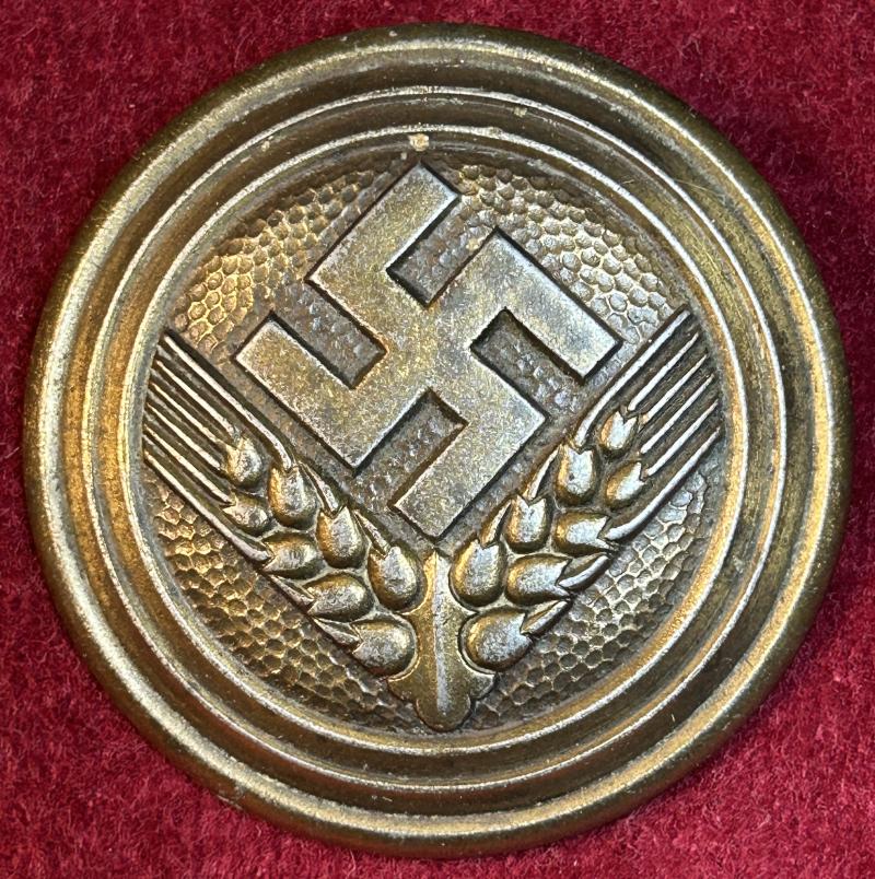 3rd Reich RAD Der weiblichen Jugend Brosche für Maidenoberführerin